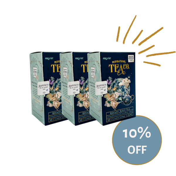 Organic Dreamy Sleep Tea 20pk