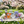 Spring in Bloom Tea Gift Set