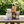 Tea for One “Limited Time”