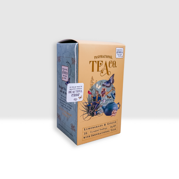 Inspirational Tea Bags Mixed Box of 10 x 25pks