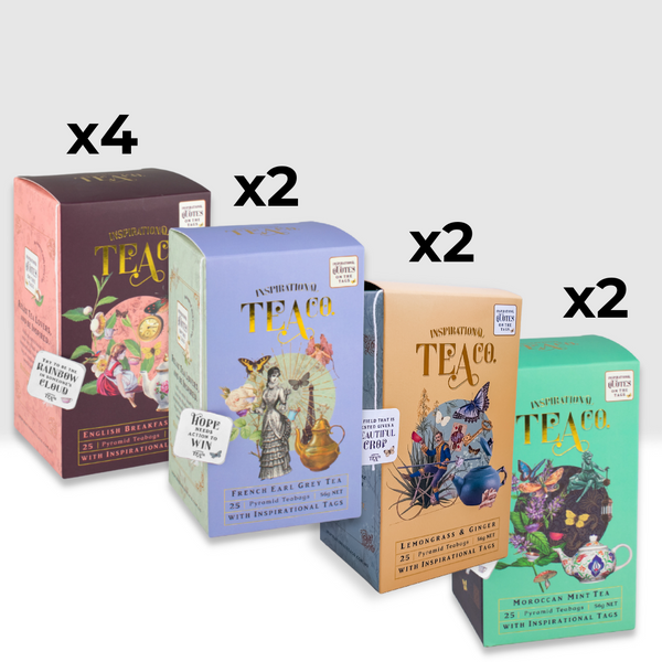 WS Mixed Pyramid Teabags 25pk Ctn 10