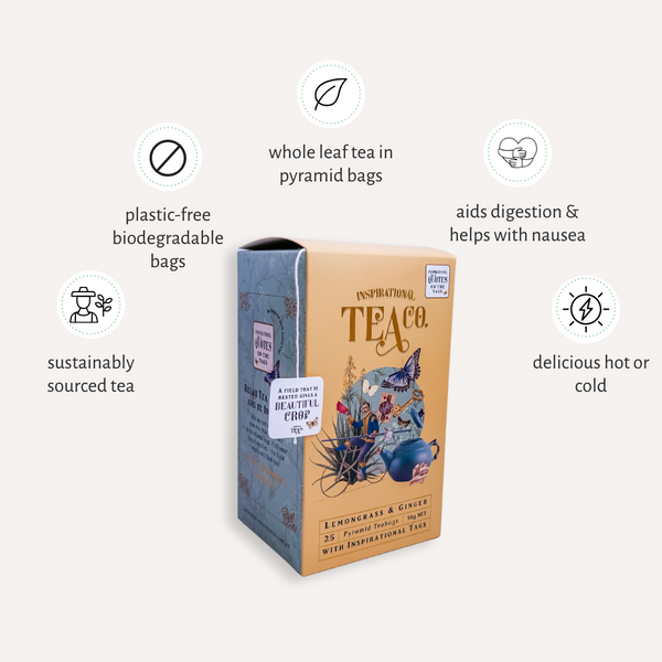 Inspirational Tea Bags Mixed Box of 10 x 25pks